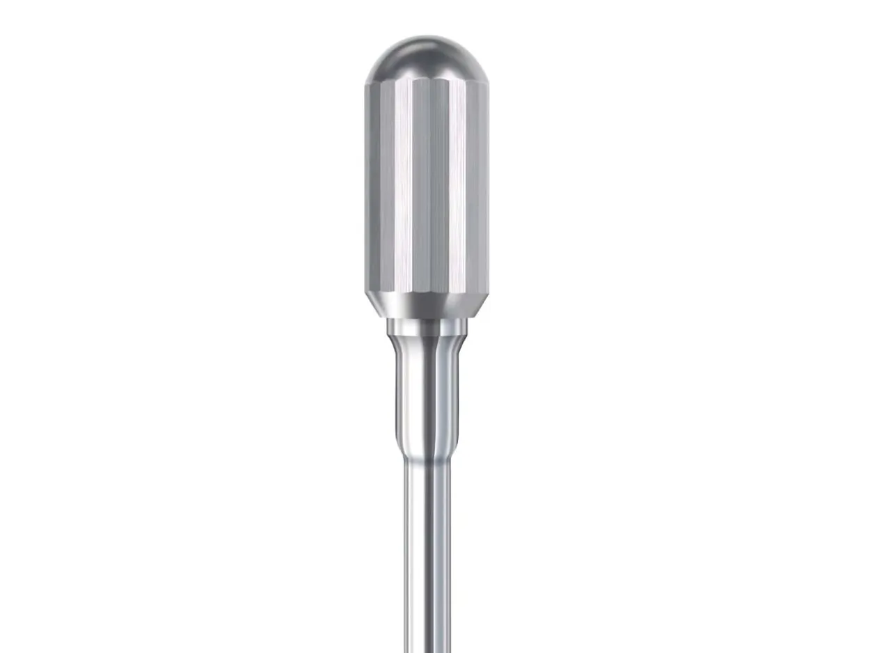 Busch Carbide Ramroller 22 Faces Safe End, 6mm