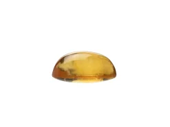 Citrine, Oval Cabochon, 8x6mm