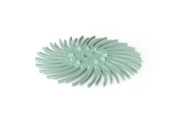 Eve Starflex Twist Xt Radial Abrasive Disc, Green, Ultra Fine Grit, 19mm