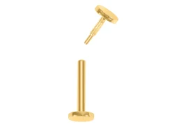 Gold Filled Circle Labret Tube 3mm