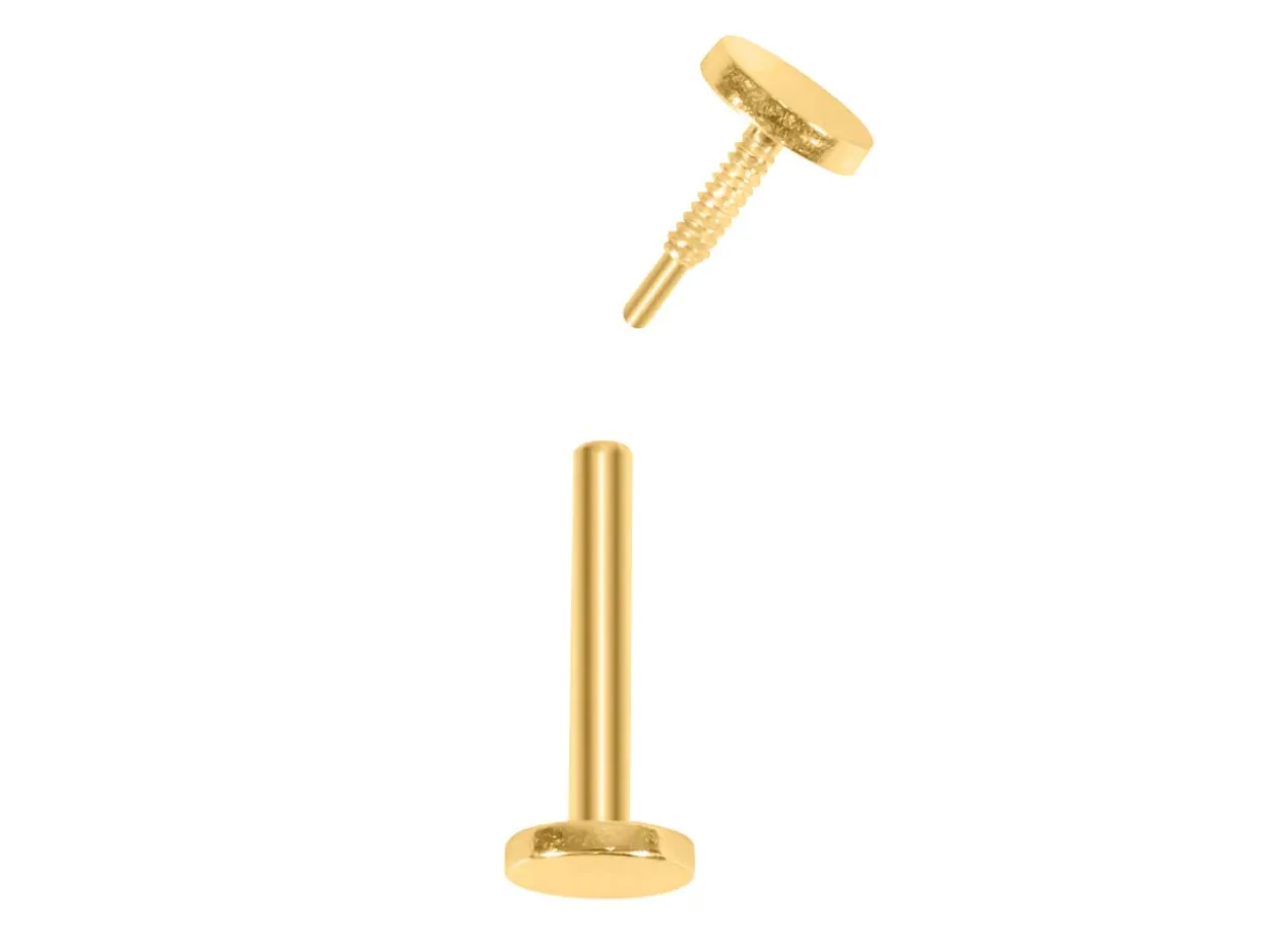 Gold Filled Circle Labret Tube 3mm