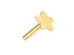 Gold Filled Star Labret Stud Earrings