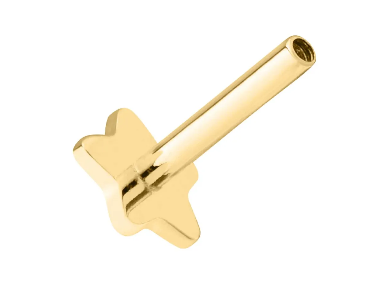 Gold Filled Star Labret Stud Earrings