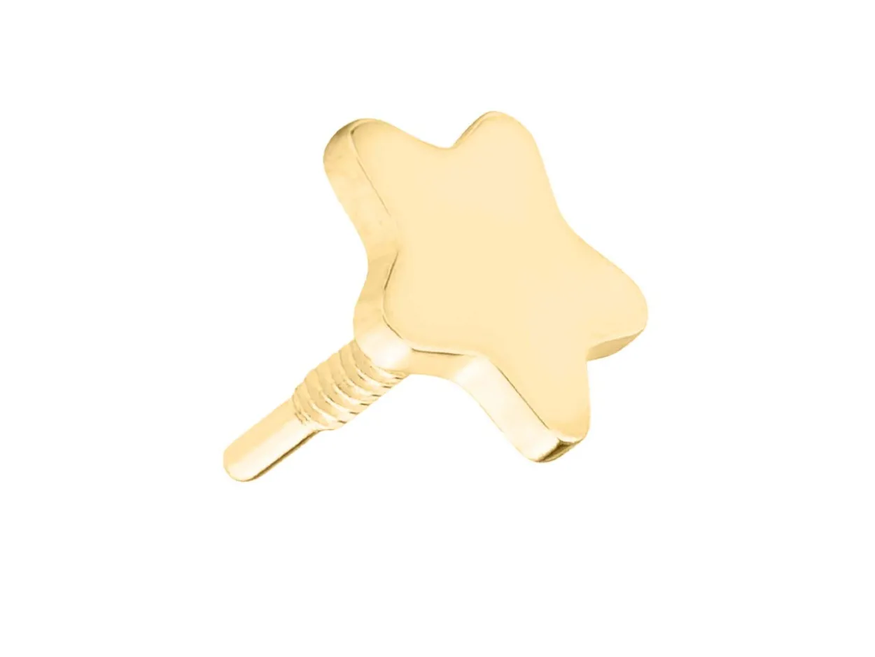 Gold Filled Star Labret Stud Earrings