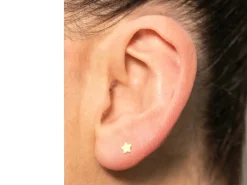 Gold Filled Star Labret Stud Earrings