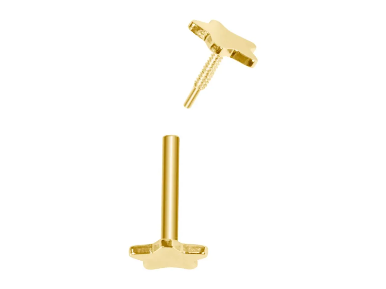Gold Filled Star Labret Tube 3mm