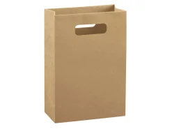 Kraft Gift Bag Large Pack of 10