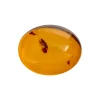 Natural Amber, Oval Cabochon, 10x8mm