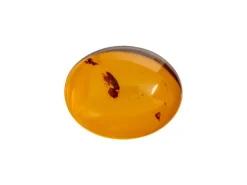 Natural Amber, Oval Cabochon, 10x8mm