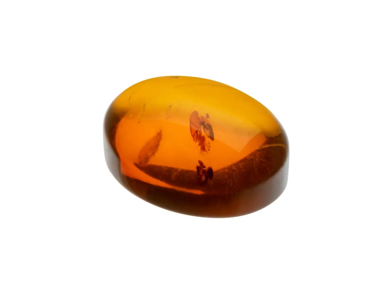 Natural Amber, Oval Cabochon, 10x8mm