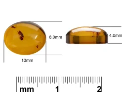 Natural Amber, Oval Cabochon, 10x8mm