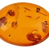 Natural Amber, Oval Cabochon, 14x10mm