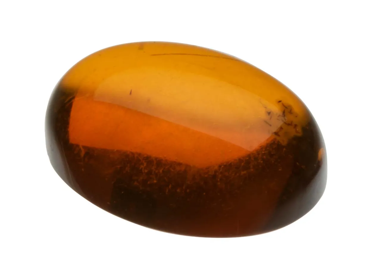 Natural Amber, Oval Cabochon, 16x12mm