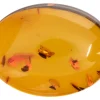 Natural Amber, Oval Cabochon, 20x15mm