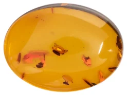 Natural Amber, Oval Cabochon, 20x15mm
