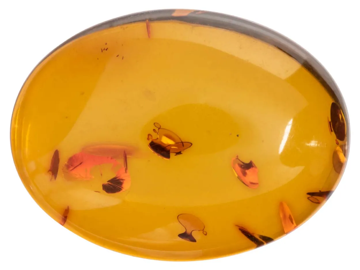Natural Amber, Oval Cabochon, 20x15mm