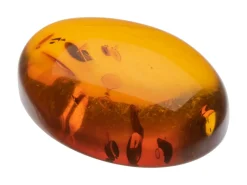 Natural Amber, Oval Cabochon, 20x15mm