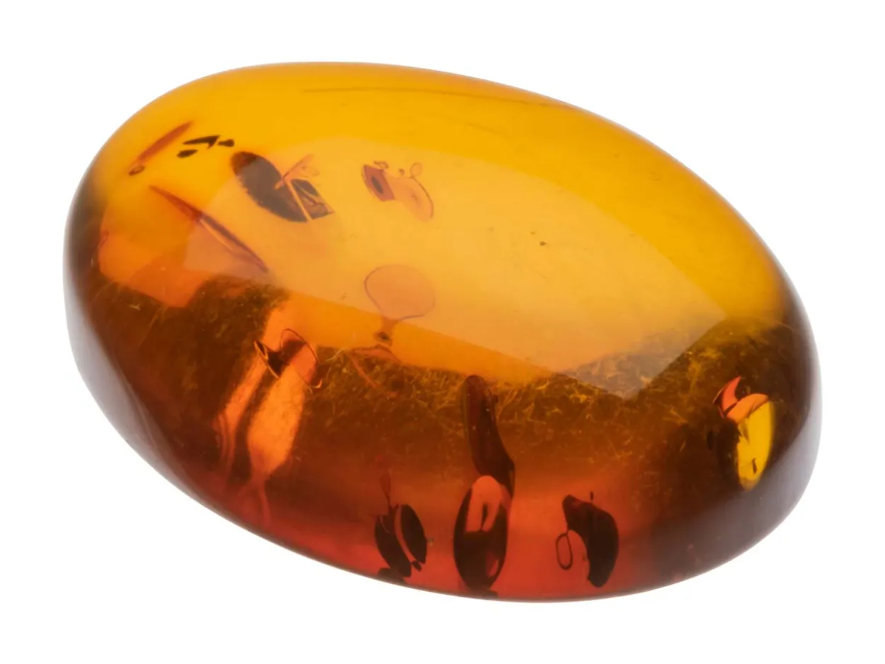 Natural Amber, Oval Cabochon, 20x15mm