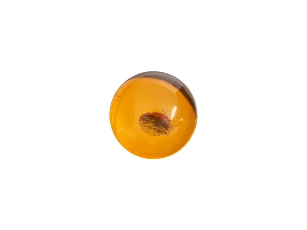Natural Amber, Round Cabochon, 6mm