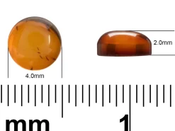 Natural Amber, Round Cabochon, 4mm