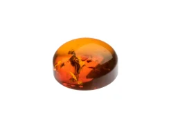 Natural Amber, Round Cabochon, 8mm