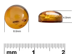 Natural Amber, Round Cabochon, 8mm