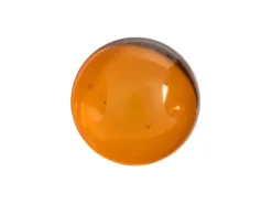 Natural Amber, Round Cabochon, 10mm