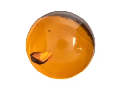 Natural Amber, Round Cabochon, 12mm