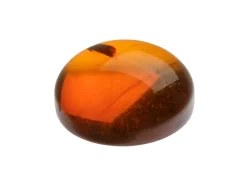 Natural Amber, Round Cabochon, 12mm