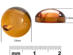 Natural Amber, Round Cabochon, 12mm