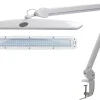 Professional LED Lamp