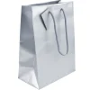 Silver Gloss Gift Bag, Small Pack of 5 170x120x75mm