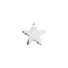 Sterling Silver Star 10mm Stamping Blank Pack of 5
