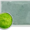 WG Ball Transparent Enamel Lime Green 401 25g Lead Free
