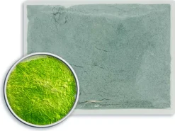 WG Ball Transparent Enamel Lime Green 401 25g Lead Free