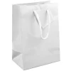 White Gloss Gift Bag, Small Pack of 5 170x120x75mm